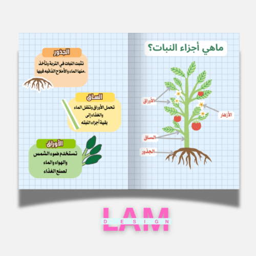 مطوية أجزاء النبات (2)