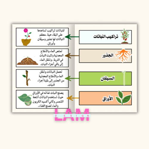 مطوية النباتات وأجزاؤها