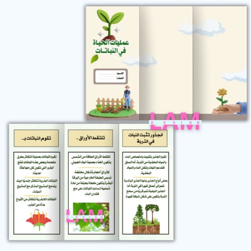 مطويات علوم سادس الترم الأول كامل