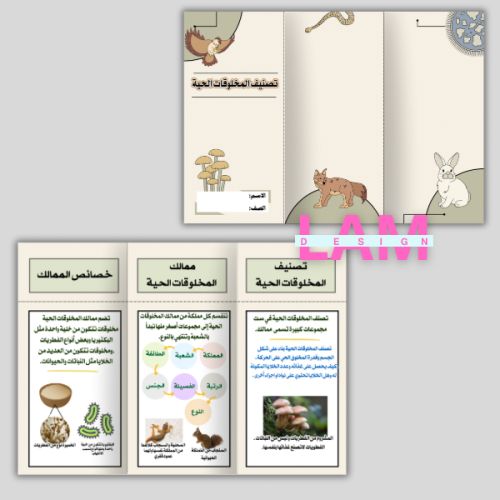 مطوية تصنيف المخلوقات الحية
