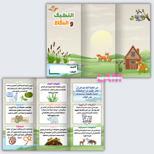 مطوية التكيف والبقاء