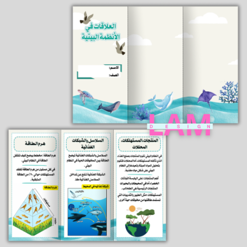 مطوية العلاقات في الانظمة البيئية