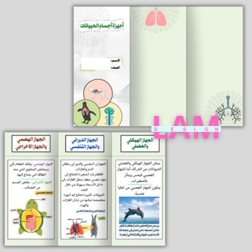 مطوية اجهزة اجسام الحيوانات