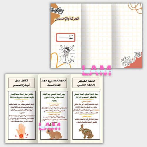 مطويات علوم سادس الترم الأول كامل