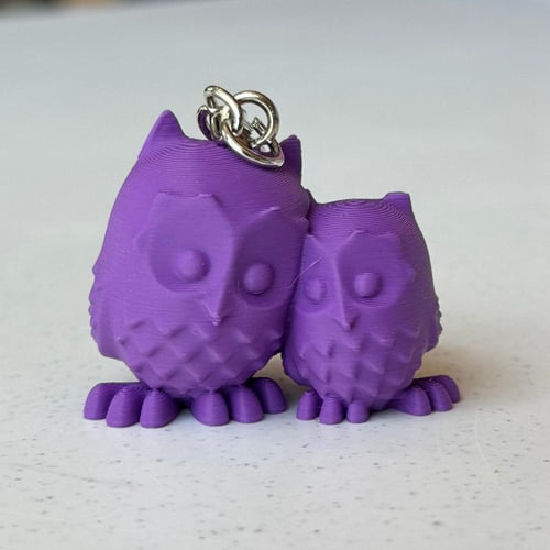 ميدالية بومة