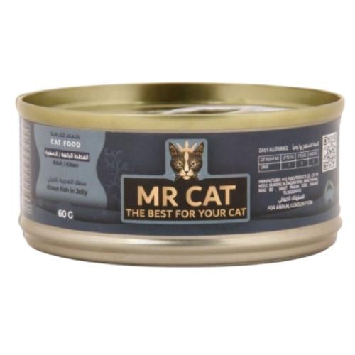 مستر كات طعام رطب سمك المحيط بالجيلي 60 جرام