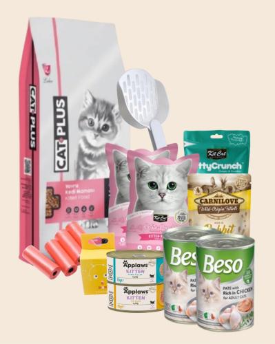 بوكس للقطط الصغيرة