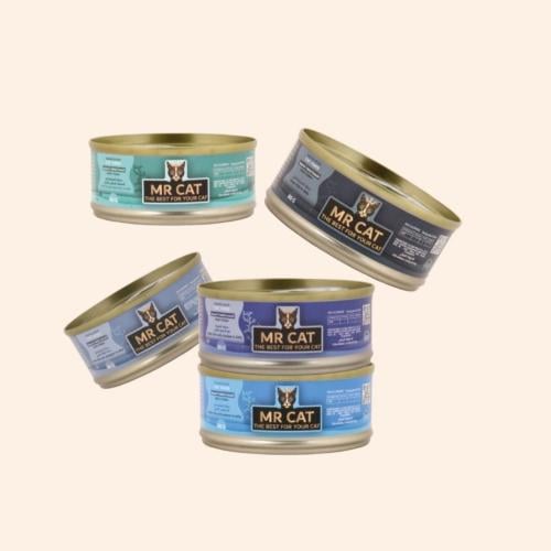 كرتون معلبات مستر كات 24 حبة × 60 جرام مختلفة النك...