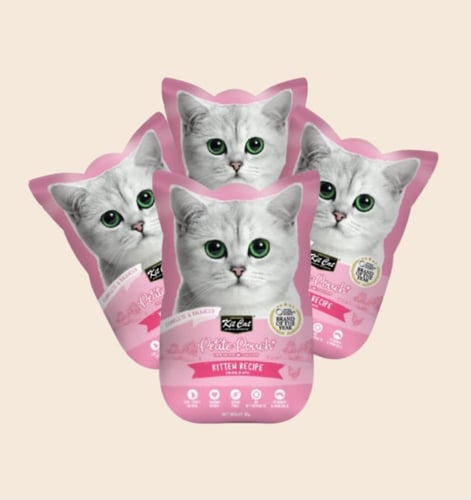 كرتون كت كات بتيت باوتش غذاء كامل 70 جرام × 24 حبة