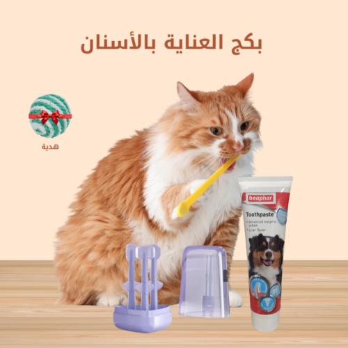 بكج العناية بالأسنان