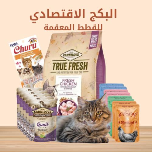 بوكس الاقتصادي للقطط المعقمة 1