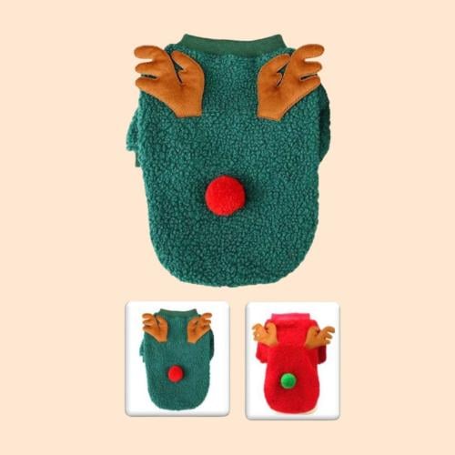 لبس شتوي أنيق للقطط