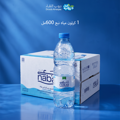 1 كرتون مياه نبع 600 مل