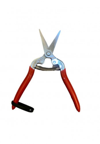 مقص نباتات مستقيم