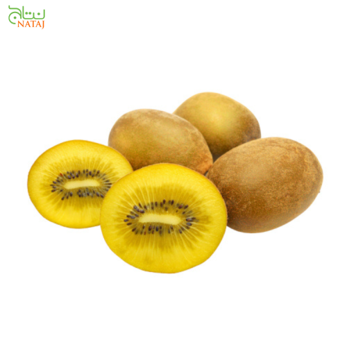 كيوي منجاوي نص كليو