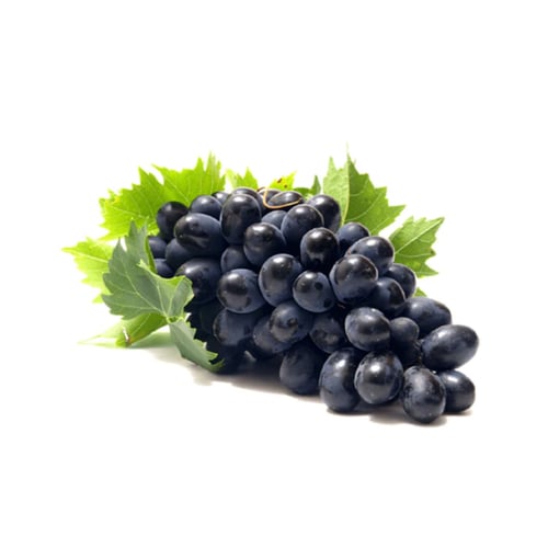 عنب اسود نص كيلو