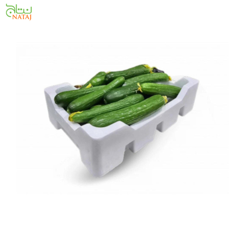 خيار فلين وسط