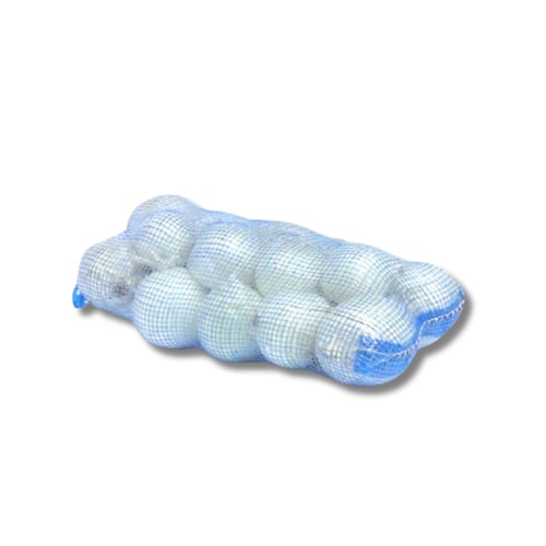 بصل ابيض خيشه