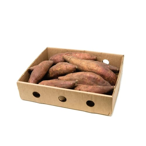 بطاطا حلوه كيلو