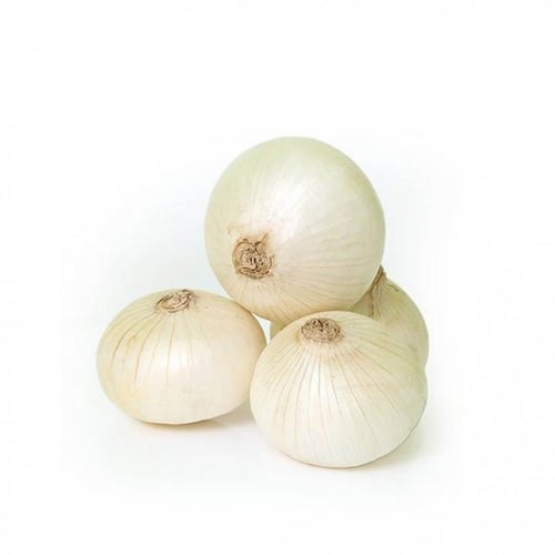 بصل ابيض كيلو