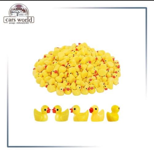 بط صغير 5 حبات