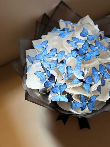 باقة الفراشات المضيئة