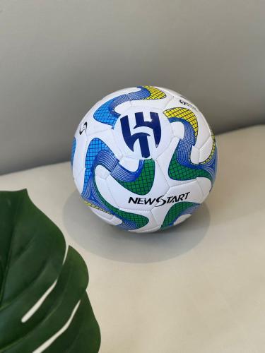 Ball+Game referee of the match