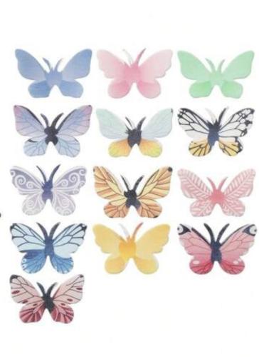 Butterfly scraps