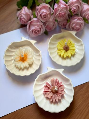 شمعة الصدفة