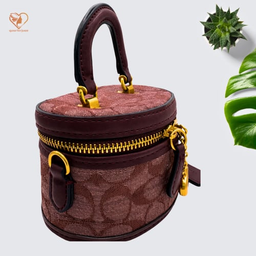 شنطة كوتش ميني