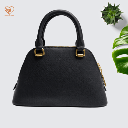 شنطة جيس ميني