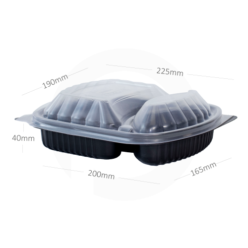 PP Plastic 2 Sections Rectangular Box 250/ctn