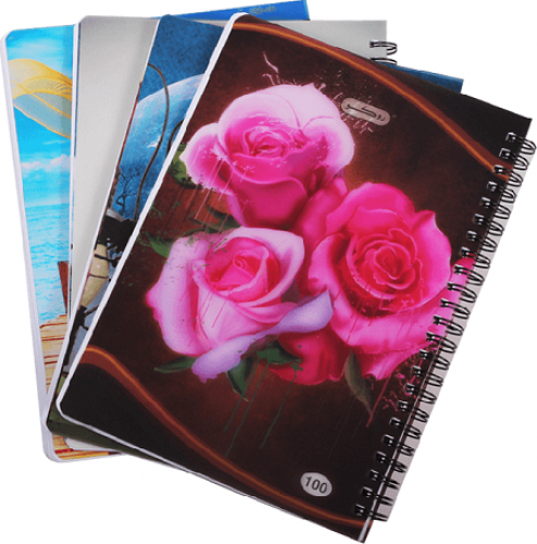 روكو، دفتر سلك انجليزي 100ورقة-6حبة