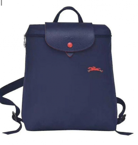 حقيبة ظهر ماستر ( شامب )