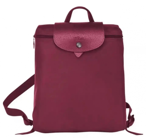 حقيبة ظهر ماستر ( شامب )