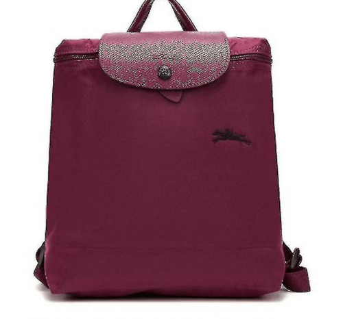 حقيبة ظهر ماستر ( شامب )