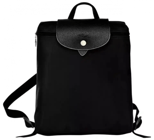 حقيبة ظهر ماستر ( شامب )