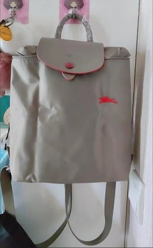 حقيبة ظهر ماستر ( شامب )