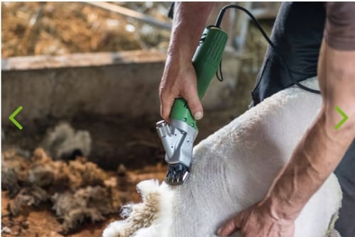 ماكينة حلاقة فرو ( خشن )