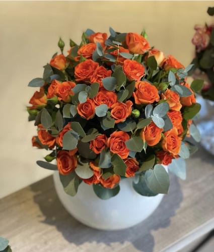 فازا مع البيبي روز