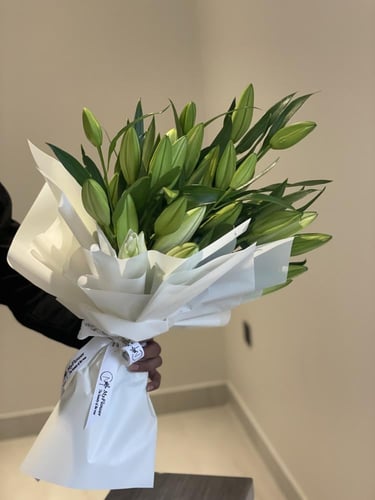 10 اغصان كازابلانكا