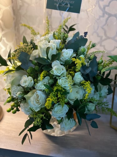 فازا سمك روز وبيبي روز