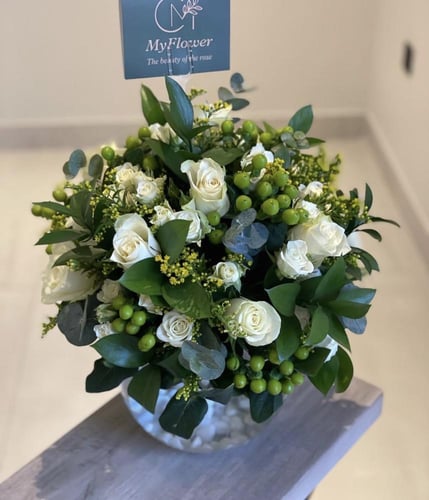 فازا سمك روز وبيبي روز