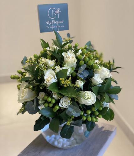 فازا سمك روز وبيبي روز