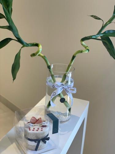 ميني كيك و فازا سمك بامبو