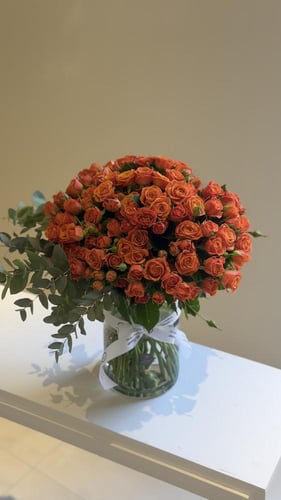 فازا 40 غصن بيبي روز