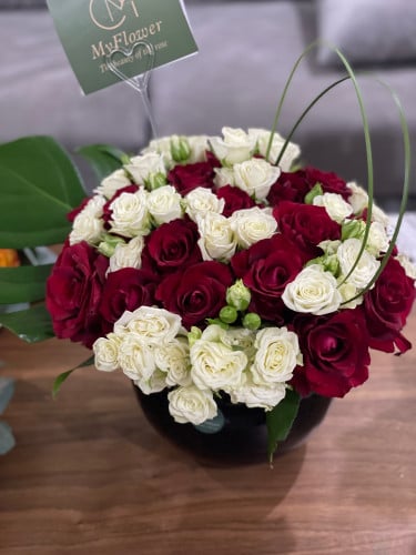 فازة الروز والبيبي روز