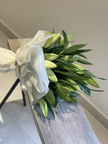 10 اغصان كازابلانكا