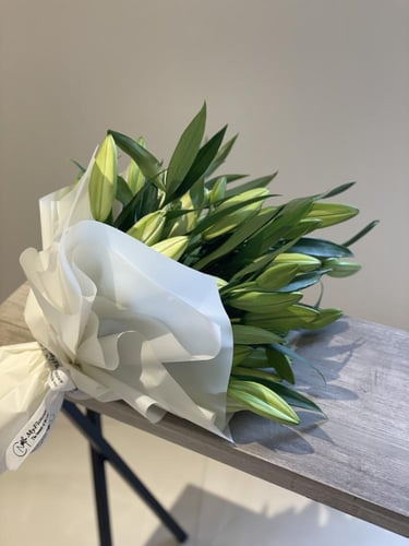 10 اغصان كازابلانكا