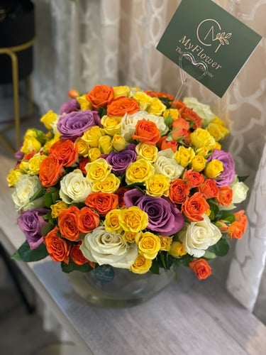 فازا روز وبيبي روز